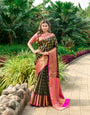 Black Toned Kanchipuram Soft Silk Saree and Gold Zari Weaving Work And Rich Pallu